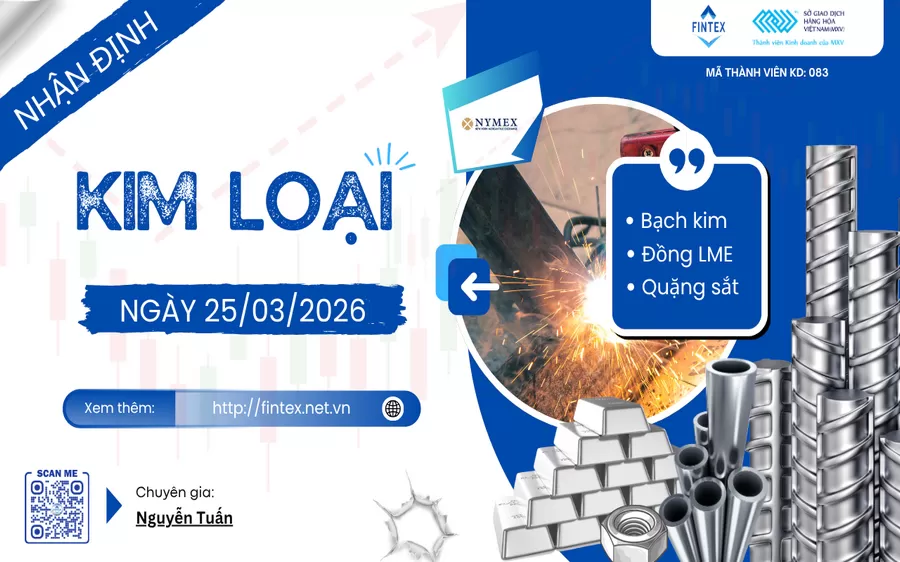 NHẬN ĐỊNH THỊ TRƯỜNG KIM LOẠI NGÀY 25/03/2026